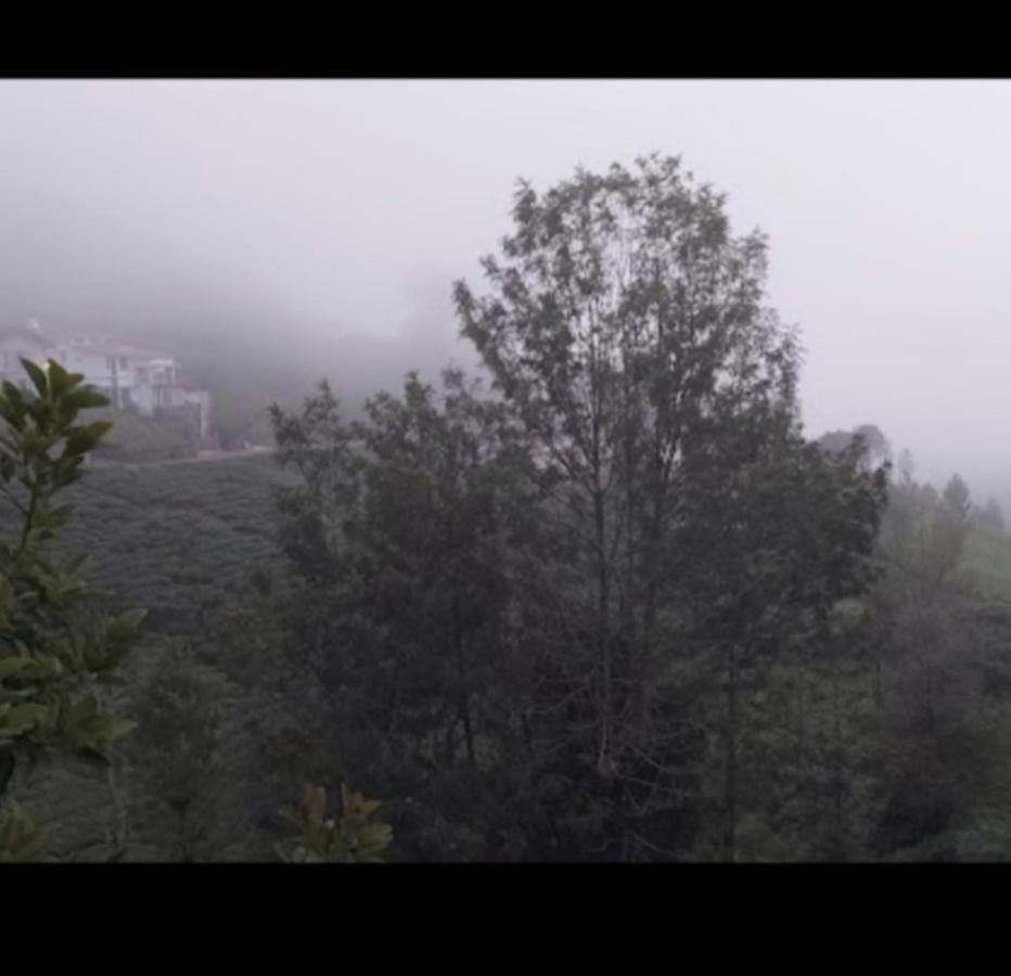 The Valley Villa Kotagiri Exterior photo